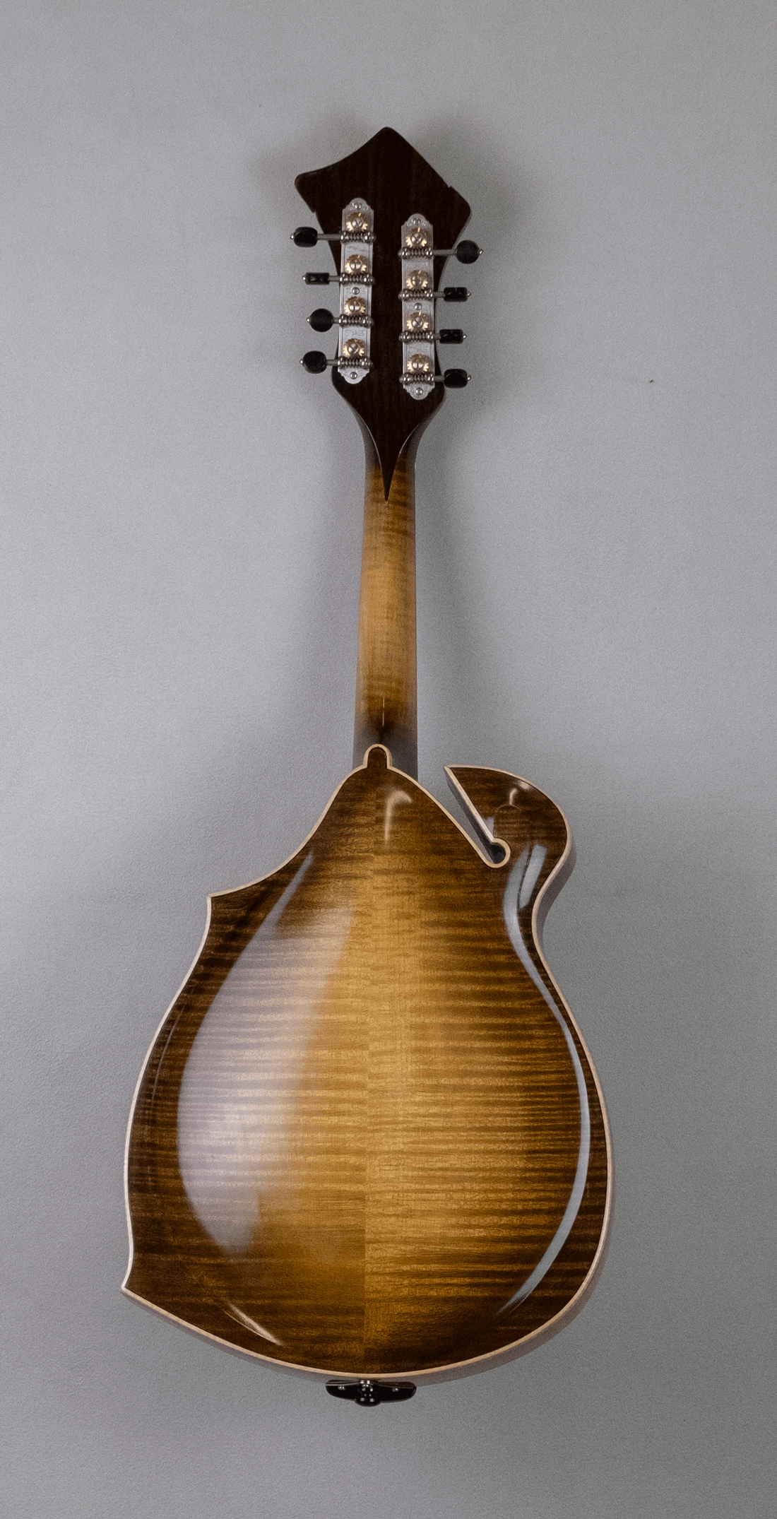 mandolin jazz 5 back