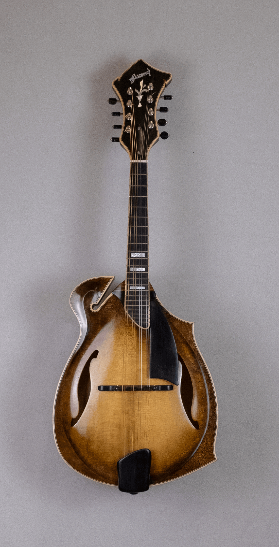 mandolin jazz 5 front