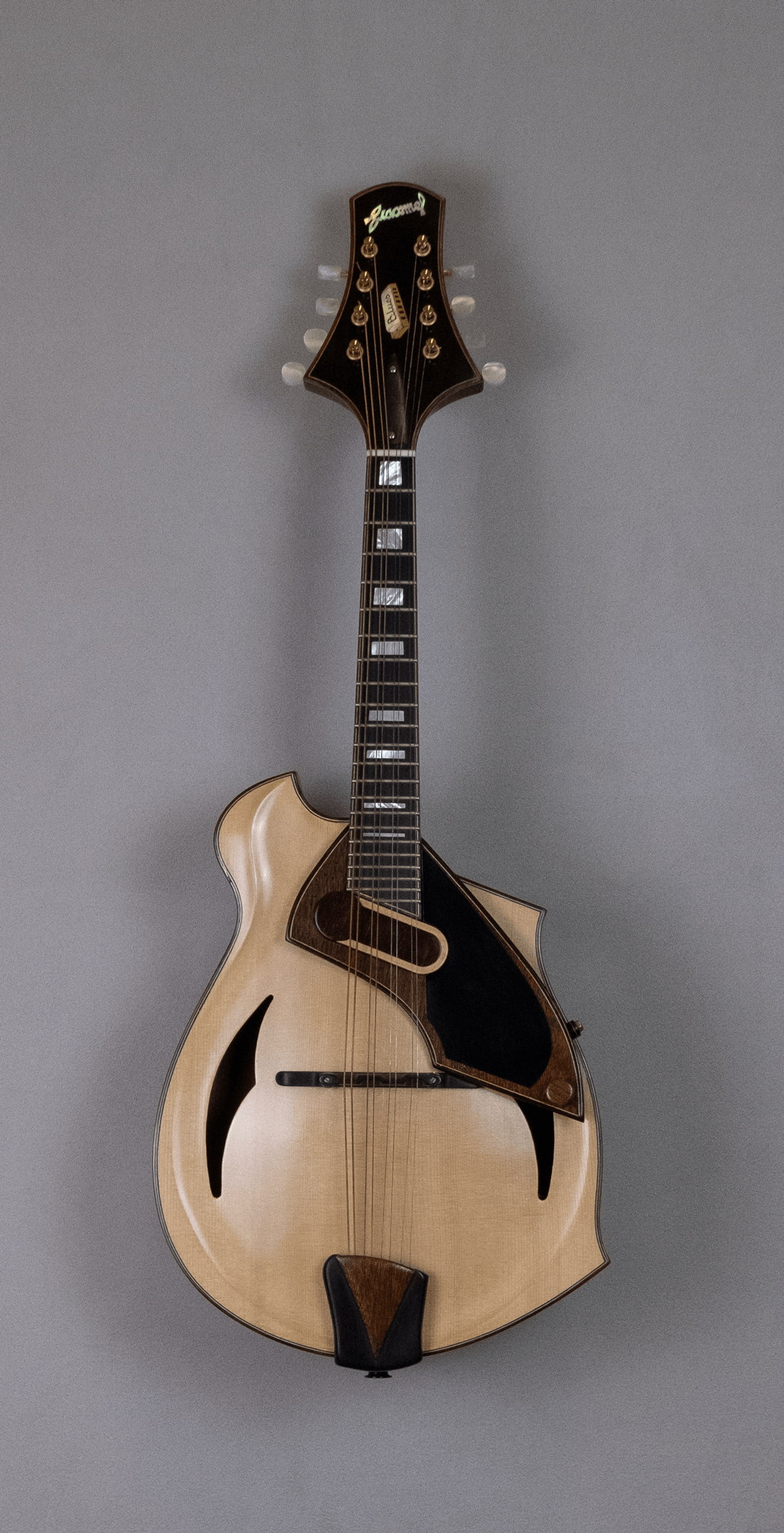 mandolin blues 4 with magnetic pickup amplified front