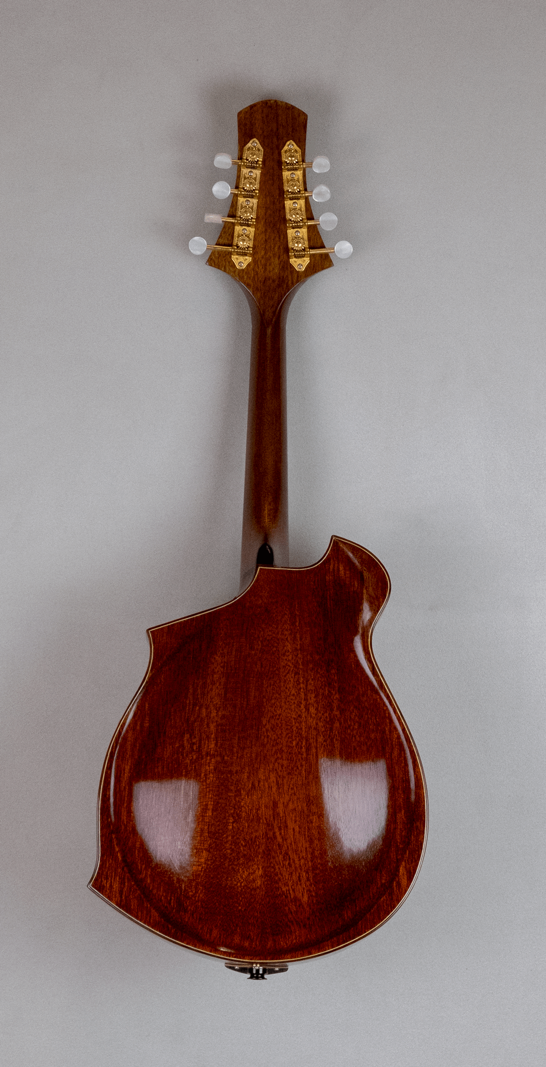 mandolin blues 4 with magnetic pickup back