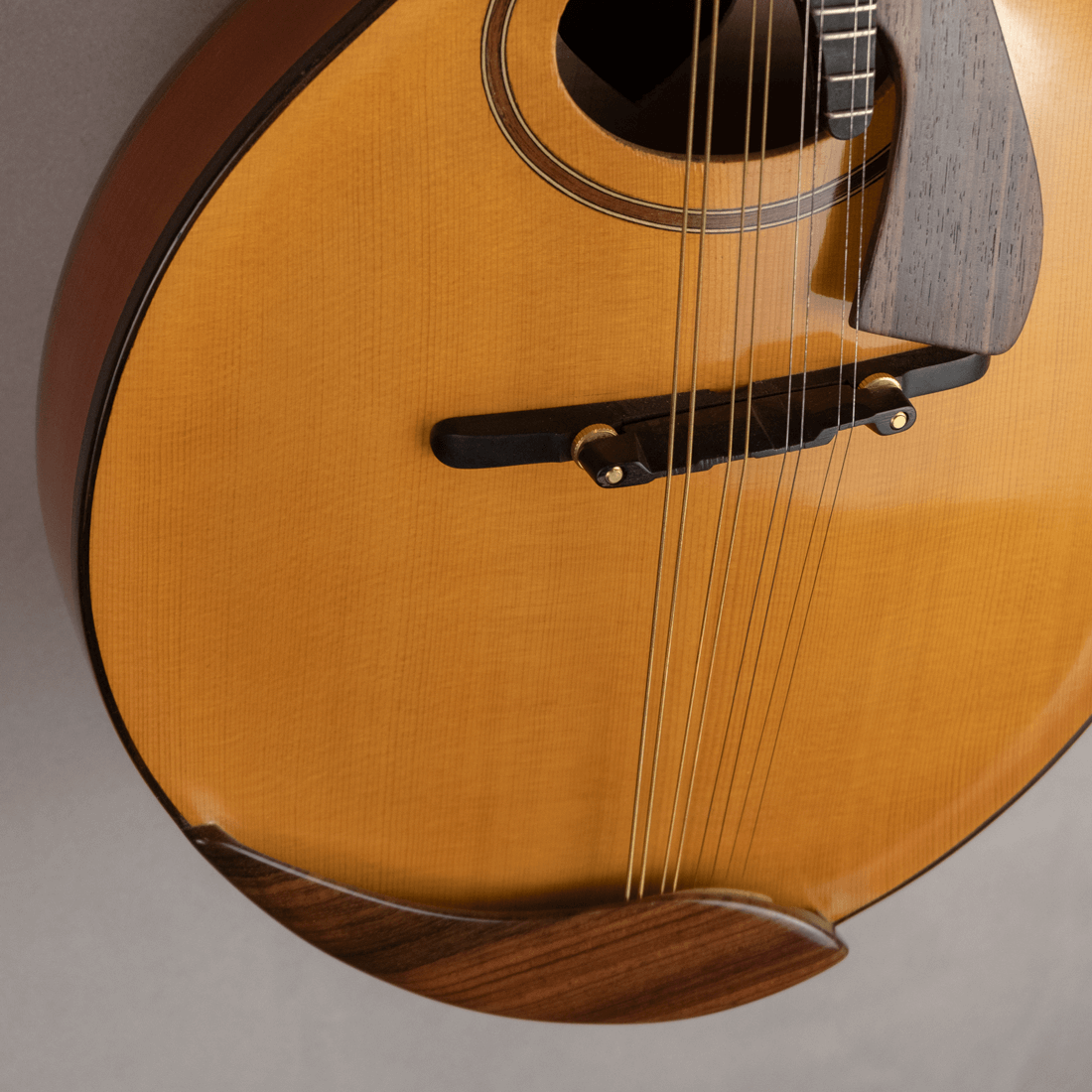 mandolin italian for concert cordiera