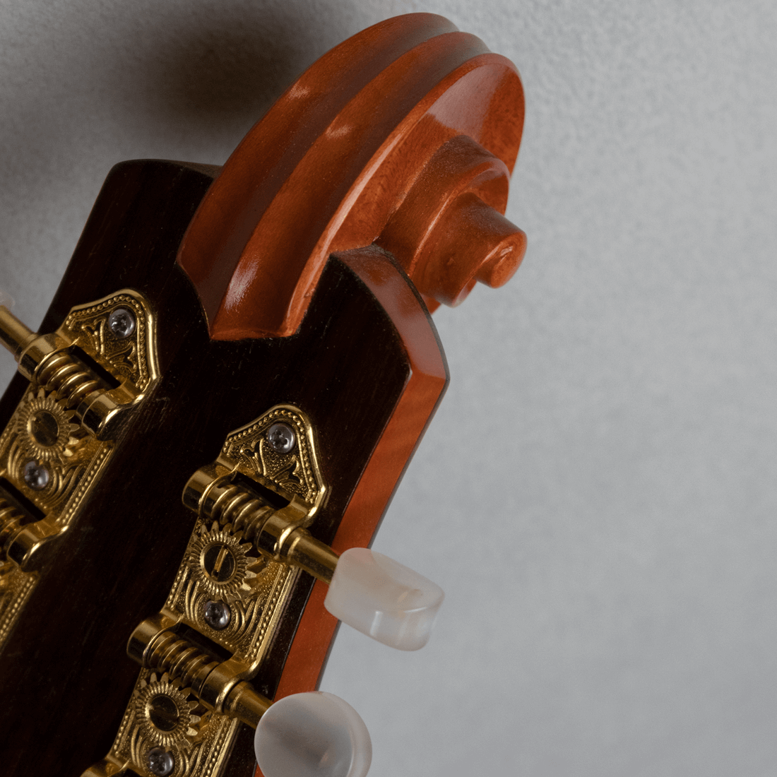 mandolin italian for concert scroll